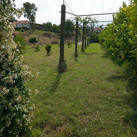 Quinta Da Bela Vista Do Lima *